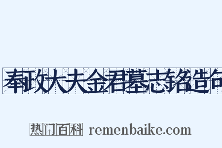 奉政大夫金君墓志铭造句是什么意思的图片